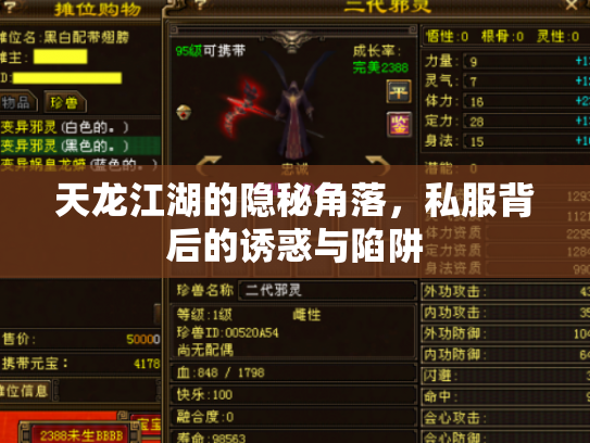 天龙江湖的隐秘角落,私服背后的诱惑与陷阱 天龙江湖的隐秘角落,私服背后的诱惑与陷阱