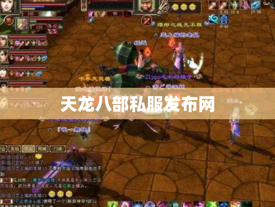 天龙八部私服发布网