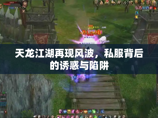 天龙江湖再现风波,私服背后的诱惑与陷阱 天龙江湖再现风波,私服背后的诱惑与陷阱