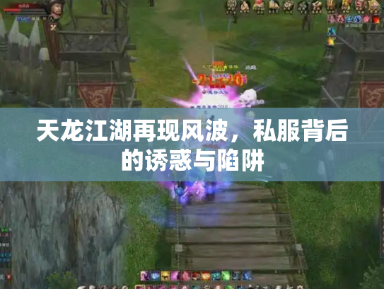 天龙江湖再现风波,私服背后的诱惑与陷阱 天龙江湖再现风波,私服背后的诱惑与陷阱