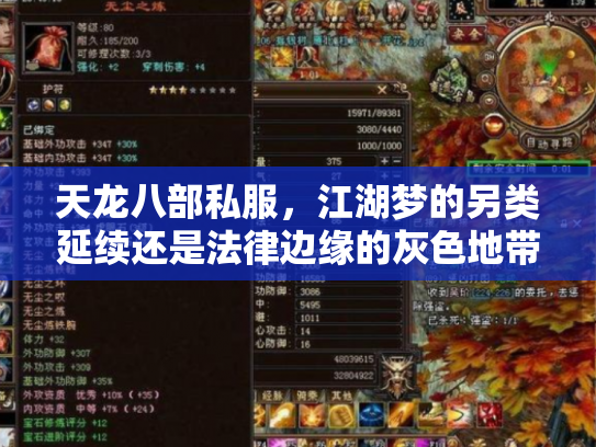 天龙八部私服，江湖梦的另类延续还是法律边缘的灰色地带？