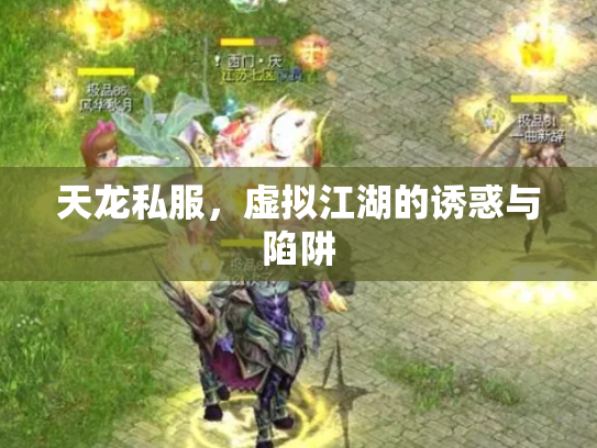 天龙私服,虚拟江湖的诱惑与陷阱 天龙私服,虚拟江湖的诱惑与陷阱
