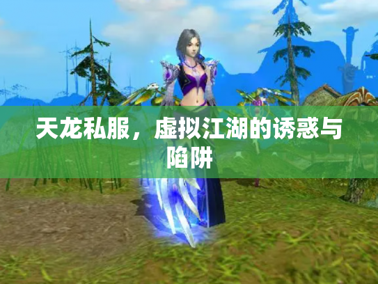 天龙私服，虚拟江湖的诱惑与陷阱