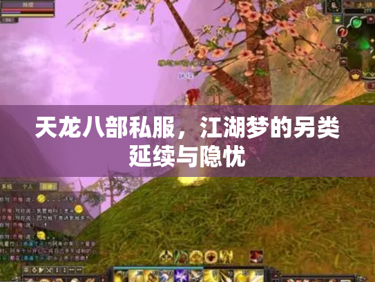 天龙八部私服,江湖梦的另类延续与隐忧 天龙八部私服,江湖梦的另类延续与隐忧