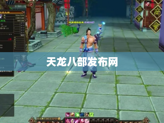 天龙八部发布网