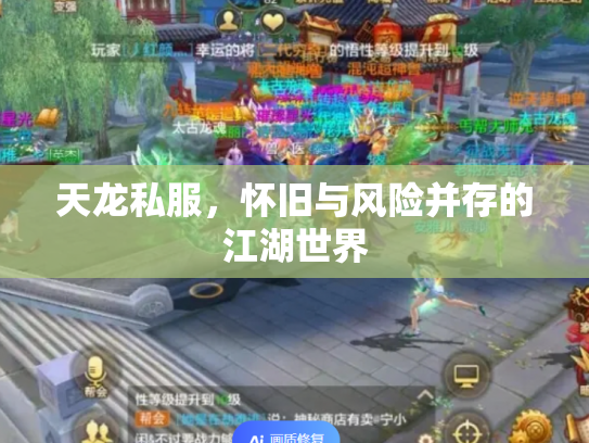 天龙私服，怀旧与风险并存的江湖世界