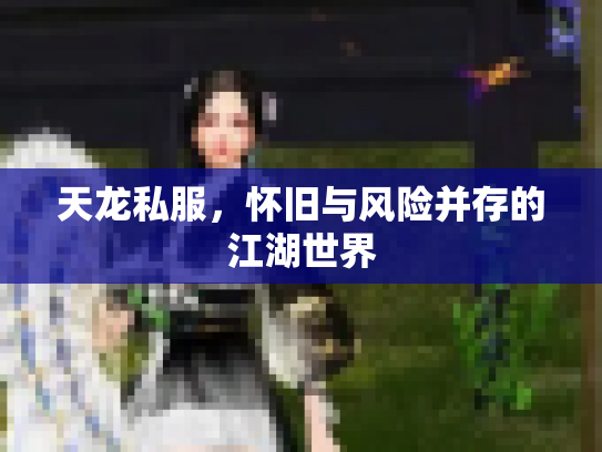 天龙私服，怀旧与风险并存的江湖世界