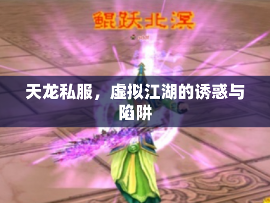 天龙私服,虚拟江湖的诱惑与陷阱 天龙私服,虚拟江湖的诱惑与陷阱