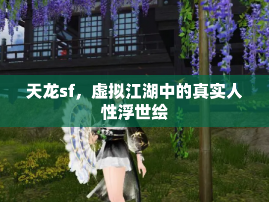 天龙sf，虚拟江湖中的真实人性浮世绘
