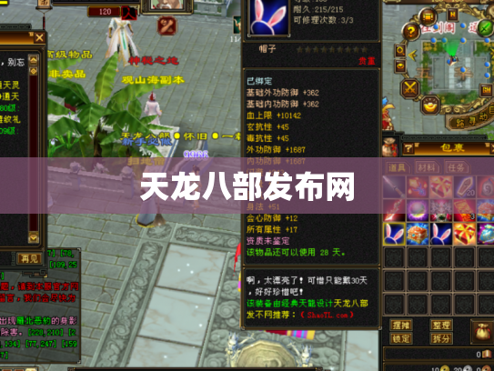 天龙八部发布网