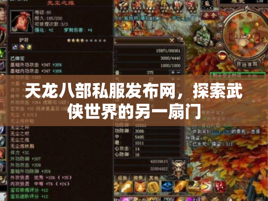 天龙八部私服发布网，探索武侠世界的另一扇门