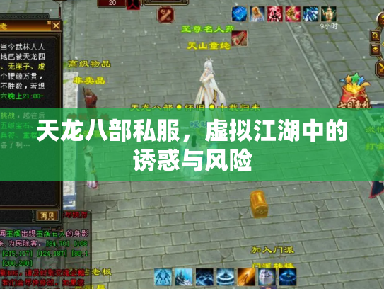 天龙八部私服，虚拟江湖中的诱惑与风险