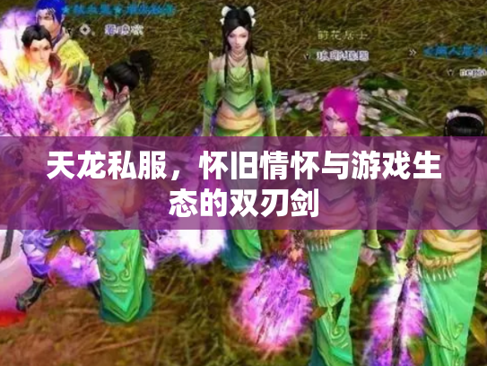 天龙私服，怀旧情怀与游戏生态的双刃剑