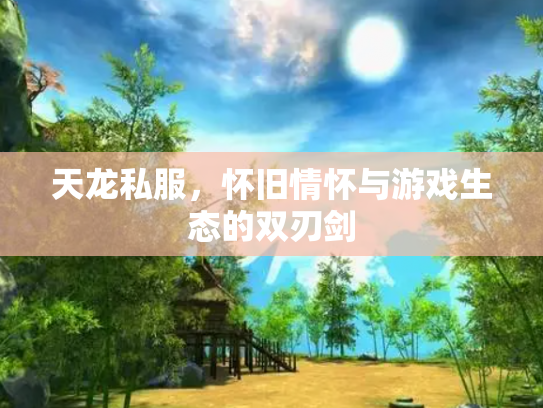 天龙私服，怀旧情怀与游戏生态的双刃剑