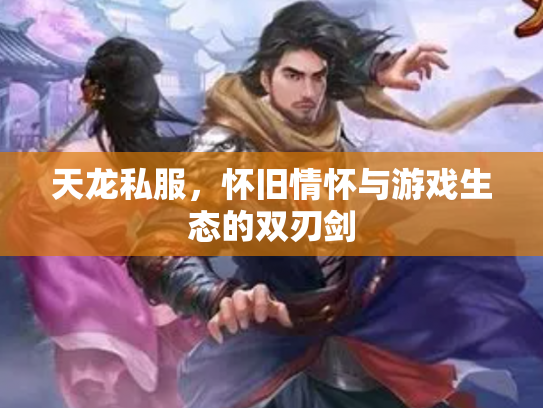 天龙私服，怀旧情怀与游戏生态的双刃剑