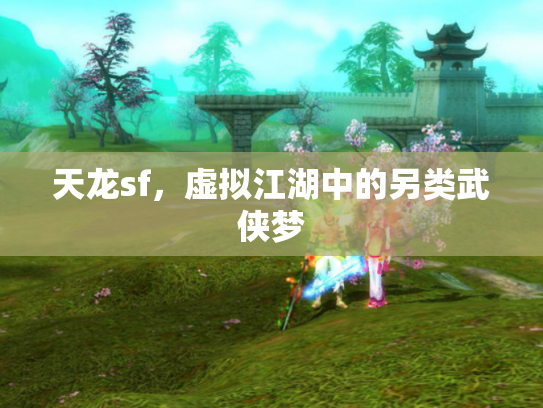 天龙sf，虚拟江湖中的另类武侠梦