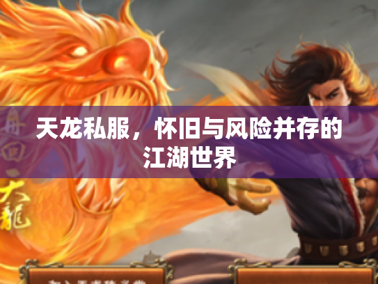 天龙私服，怀旧与风险并存的江湖世界