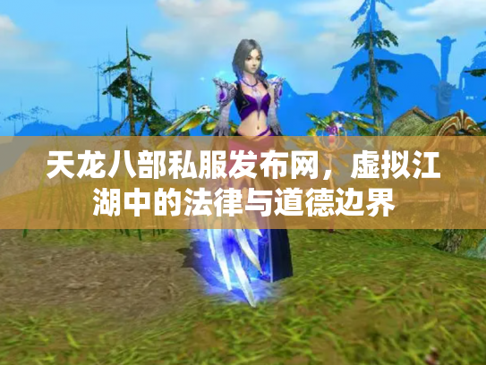 天龙八部私服发布网，虚拟江湖中的法律与道德边界