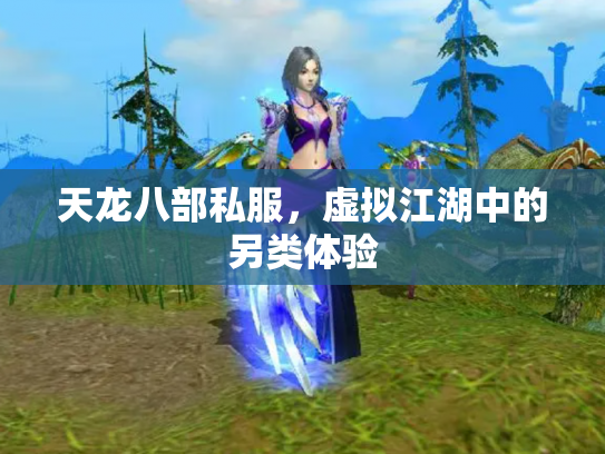 天龙八部私服，虚拟江湖中的另类体验
