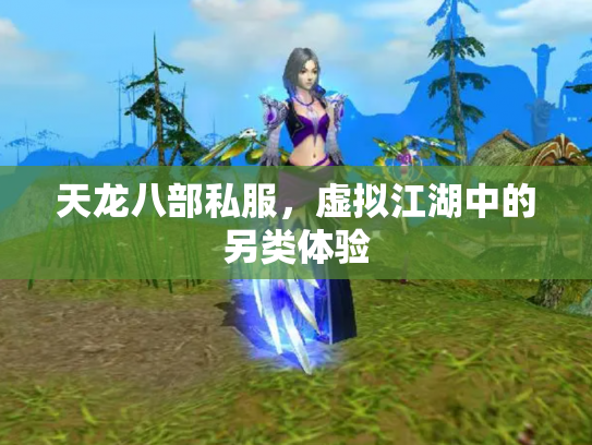 天龙八部私服，虚拟江湖中的另类体验