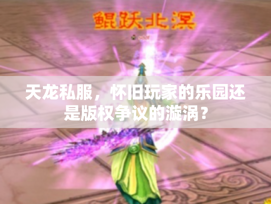 天龙私服，怀旧玩家的乐园还是版权争议的漩涡？