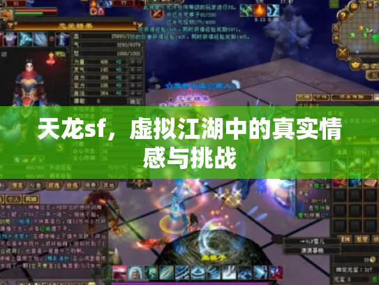 天龙sf，虚拟江湖中的真实情感与挑战