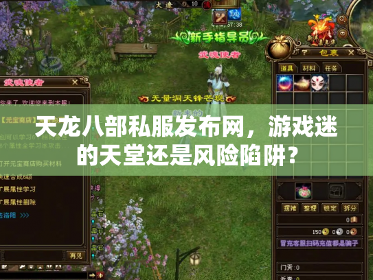 天龙八部私服发布网，游戏迷的天堂还是风险陷阱？