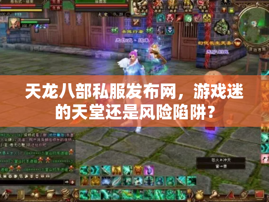 天龙八部私服发布网，游戏迷的天堂还是风险陷阱？