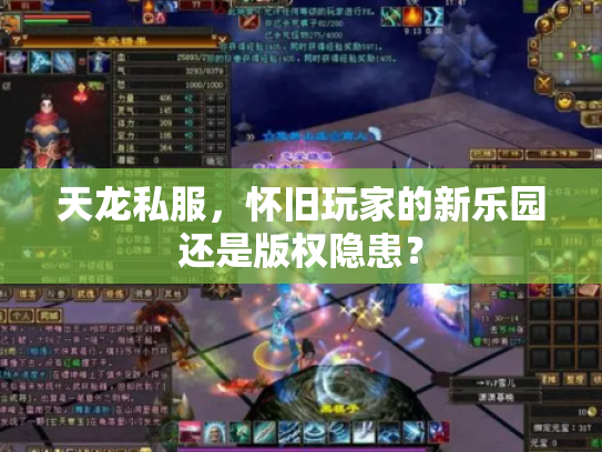 天龙私服，怀旧玩家的新乐园还是版权隐患？