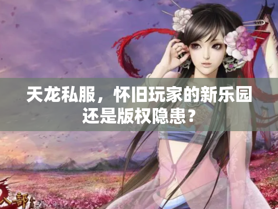 天龙私服，怀旧玩家的新乐园还是版权隐患？