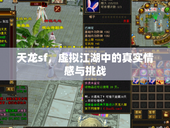 天龙sf，虚拟江湖中的真实情感与挑战