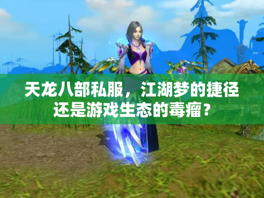 天龙八部私服，江湖梦的捷径还是游戏生态的毒瘤？