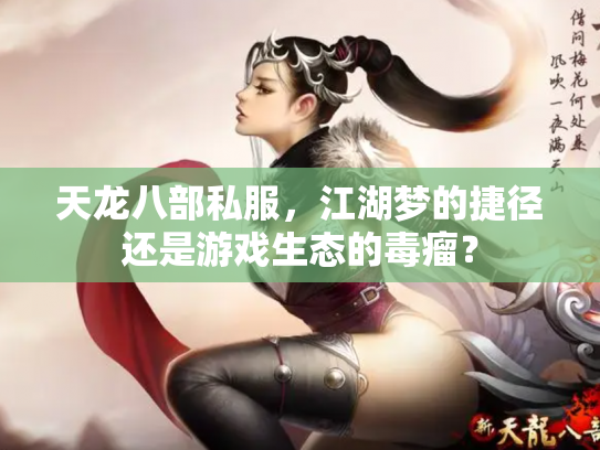 天龙八部私服，江湖梦的捷径还是游戏生态的毒瘤？