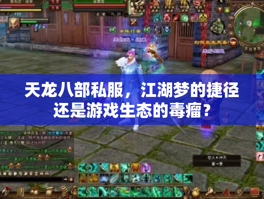 天龙八部私服，江湖梦的捷径还是游戏生态的毒瘤？