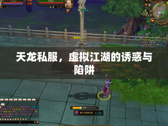 天龙私服，虚拟江湖的诱惑与陷阱