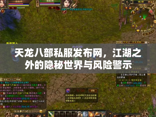 天龙八部私服发布网，江湖之外的隐秘世界与风险警示