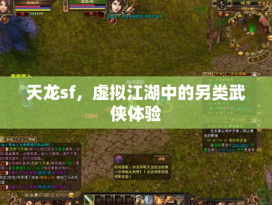 天龙sf，虚拟江湖中的另类武侠体验
