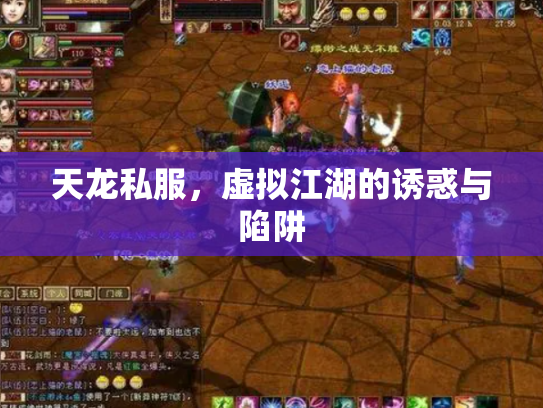 天龙私服，虚拟江湖的诱惑与陷阱