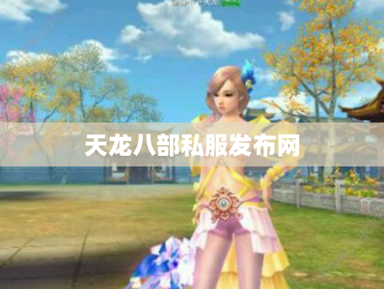 天龙八部私服发布网