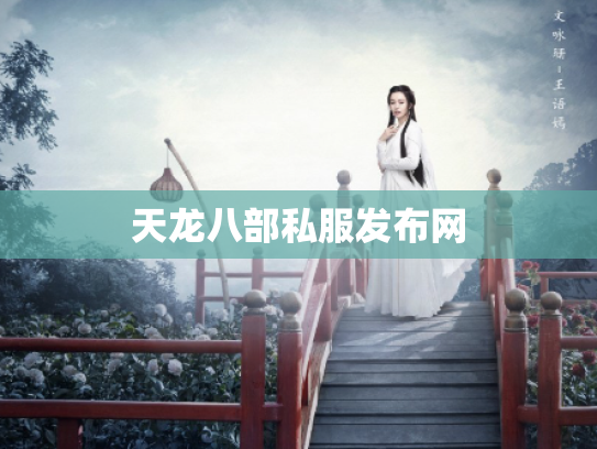 天龙八部私服发布网