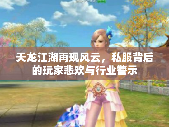 天龙江湖再现风云，私服背后的玩家悲欢与行业警示