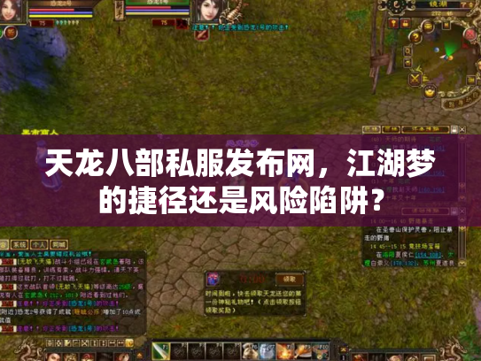 天龙八部私服发布网，江湖梦的捷径还是风险陷阱？