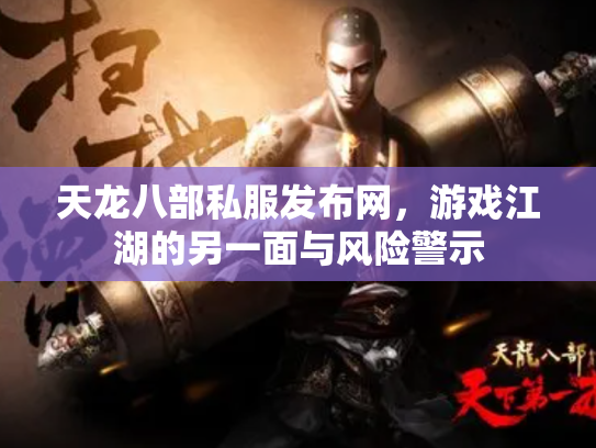 天龙八部私服发布网，游戏江湖的另一面与风险警示