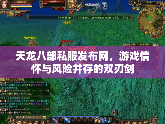 天龙八部私服发布网，游戏情怀与风险并存的双刃剑