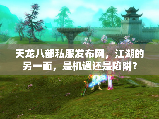 天龙八部私服发布网，江湖的另一面，是机遇还是陷阱？