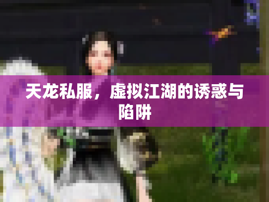 天龙私服，虚拟江湖的诱惑与陷阱