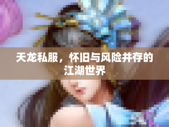 天龙私服，怀旧与风险并存的江湖世界