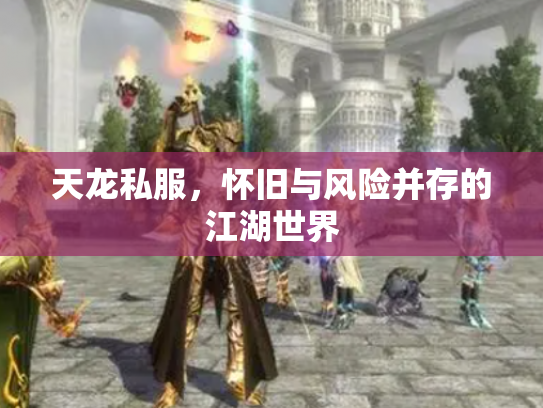 天龙私服，怀旧与风险并存的江湖世界