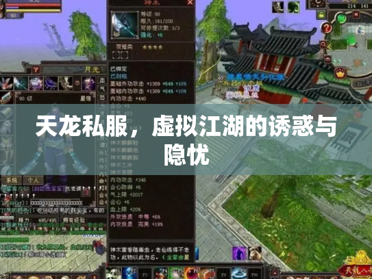 天龙私服，虚拟江湖的诱惑与隐忧