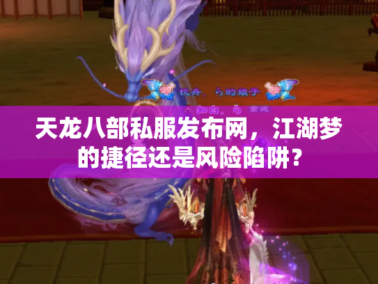 天龙八部私服发布网，江湖梦的捷径还是风险陷阱？
